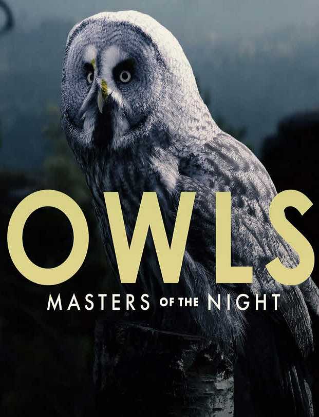 فيلم Owls: Masters of the Night 2020 مترجم