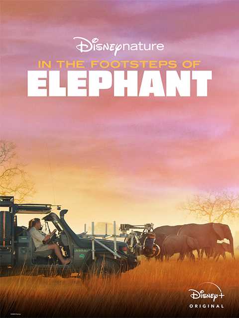 فيلم In the Footsteps of Elephant 2020 مترجم