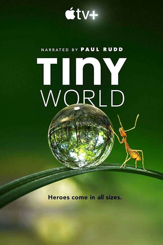 مسلسل Tiny World الموسم الاول حلقة 2