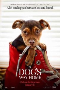فيلم A Dog’s Way Home 2019 مترجم