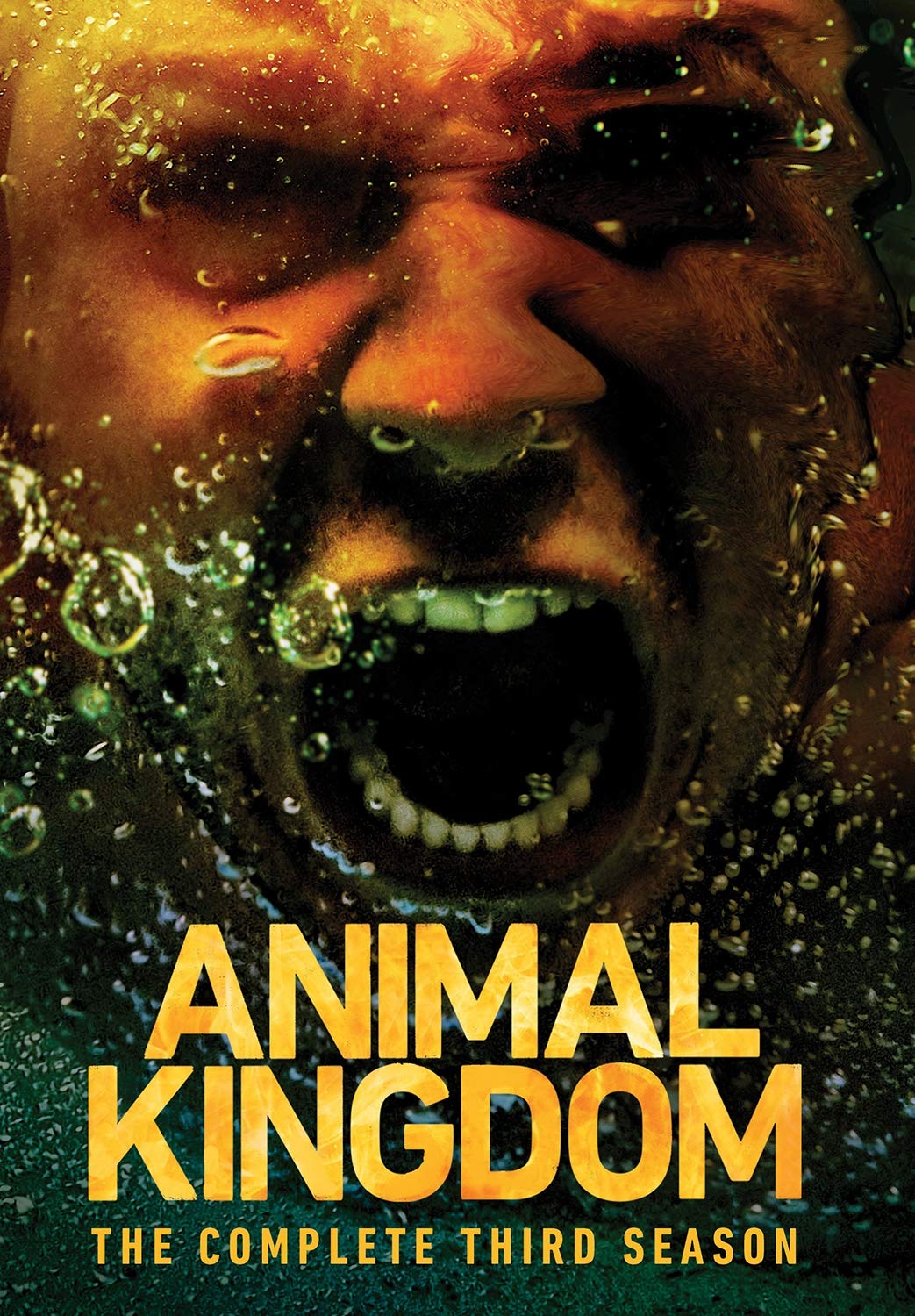 مسلسل Animal Kingdom الموسم الثالث حلقة 6