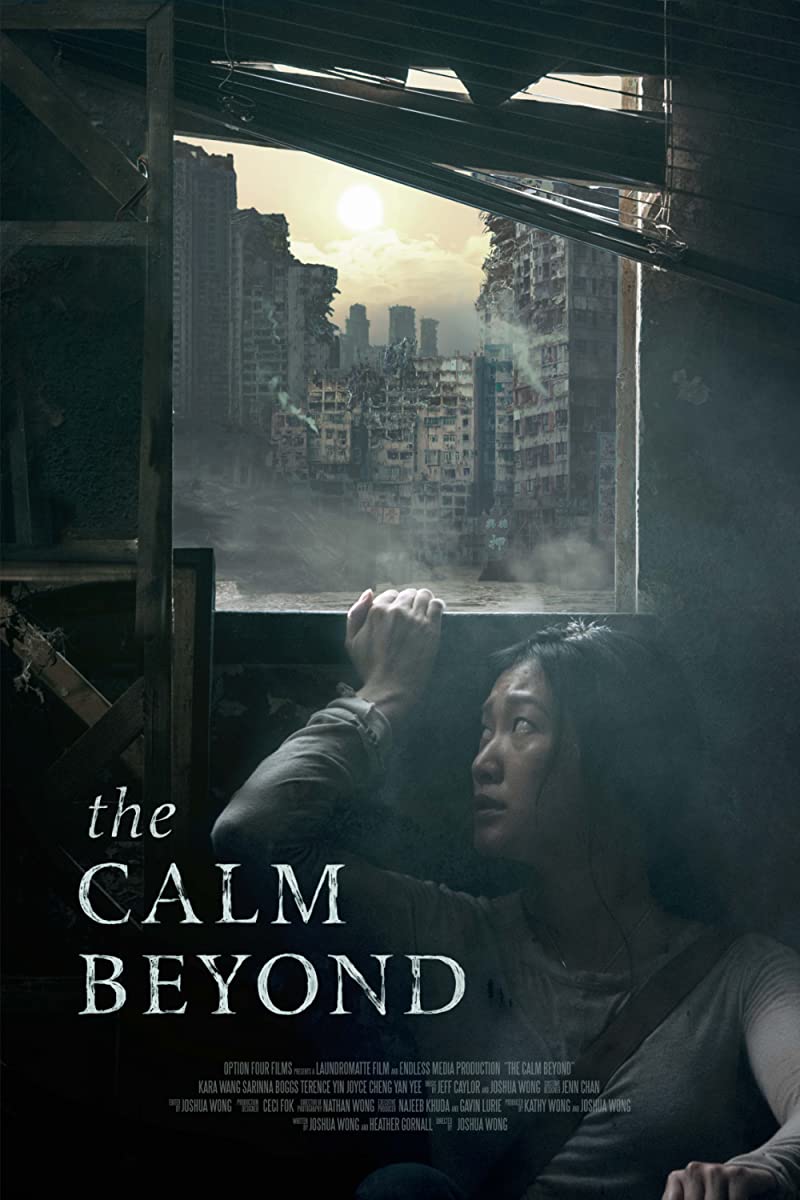 فيلم The Calm Beyond 2020 مترجم فيلم The Calm Beyond 2020 مترجم