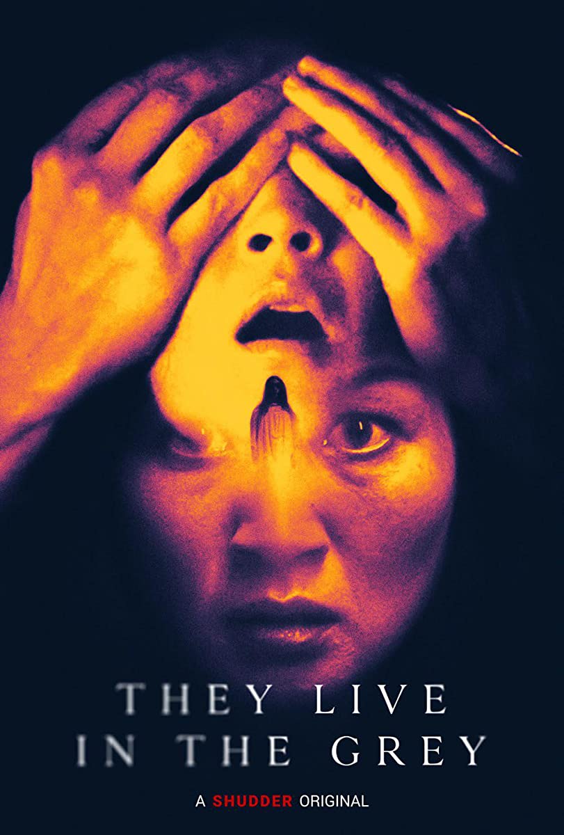 فيلم They Live in the Grey 2022 مترجم