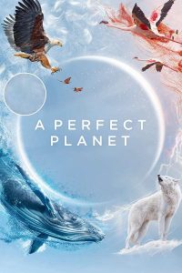 مسلسل A Perfect Planet الموسم الاول حلقة 5 والاخيرة