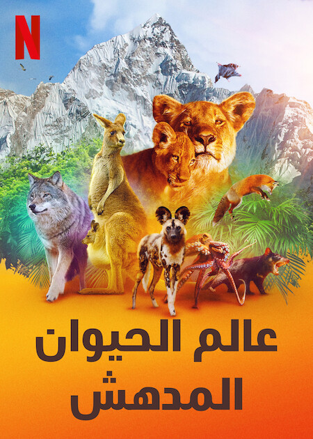 مسلسل Animal الموسم الاول حلقة 4 والاخيرة