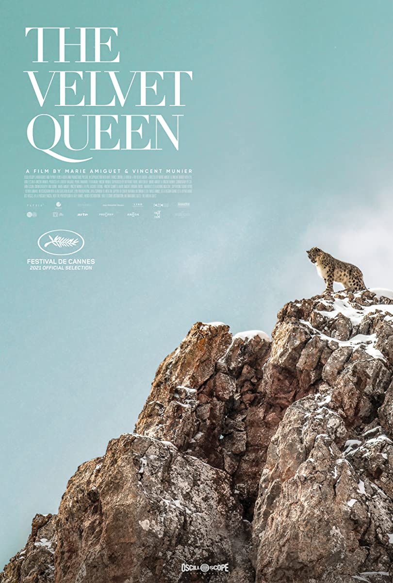 فيلم The Velvet Queen 2021 مترجم