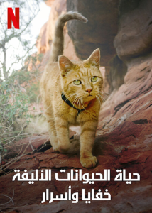 مسلسل The Hidden Lives of Pets الموسم الاول حلقة 3