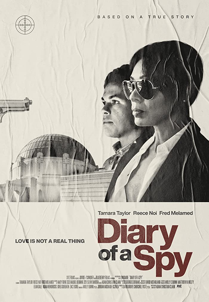 فيلم Diary of a Spy 2022 مترجم