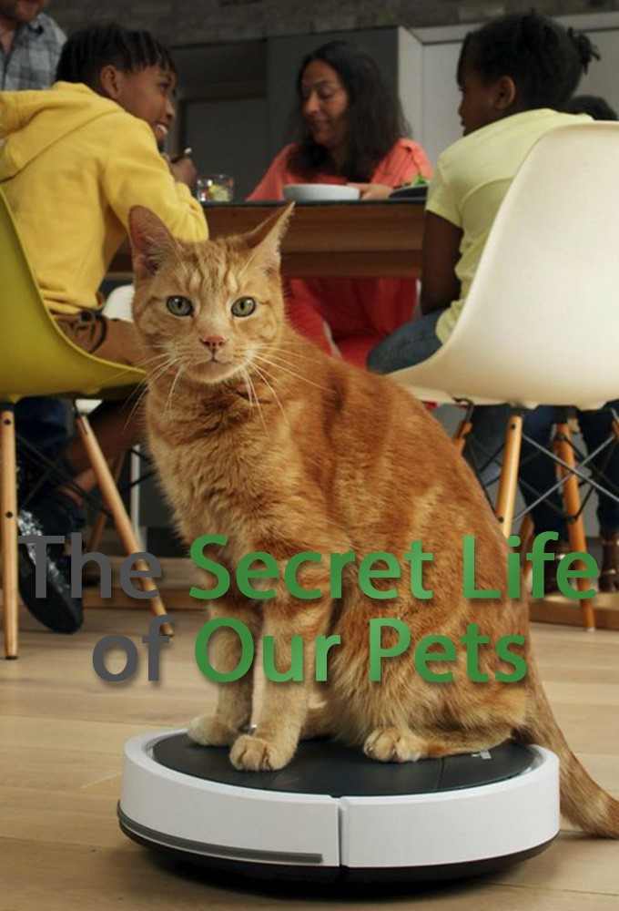 مسلسل The Secret Life of Our Pets الموسم الاول حلقة 2