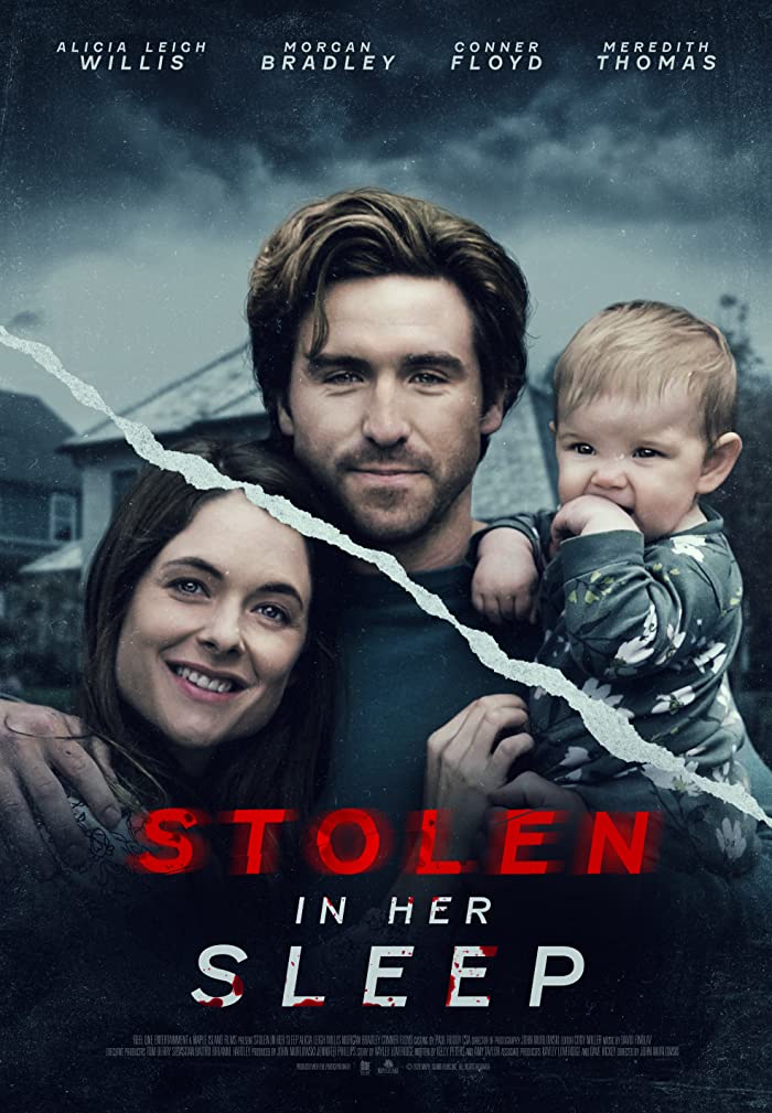 فيلم Stolen in Her Sleep 2022 مترجم