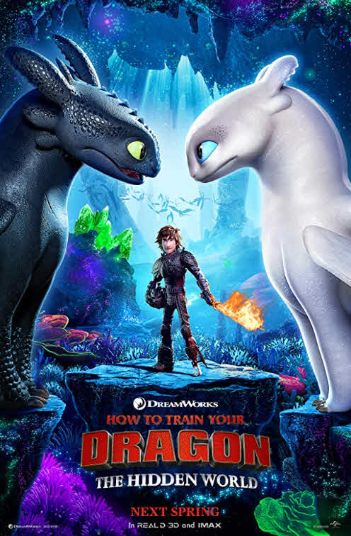 فيلم How to Train Your Dragon: The Hidden World 2019 مدبلج