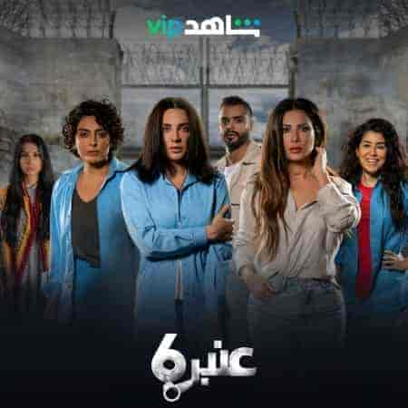 مسلسل عنبر 6 حلقة 4 الرابعة