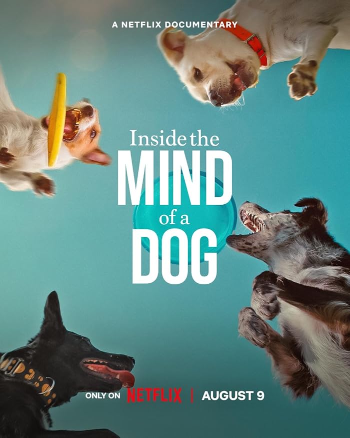 فيلم Inside the Mind of a Dog 2024 مترجم