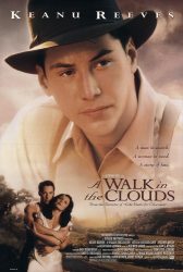 فيلم A Walk in the Clouds 1995 مترجم