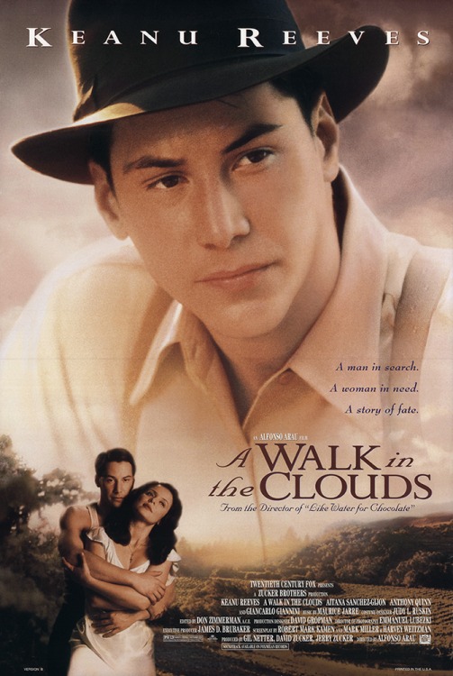 فيلم A Walk in the Clouds 1995 مترجم