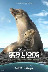 فيلم Sea Lions of the Galapagos 2025 مترجم