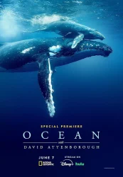 فيلم Ocean with David Attenborough 2025 مترجم